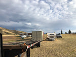 New 20ft High Cube Shipping Container, view 3
